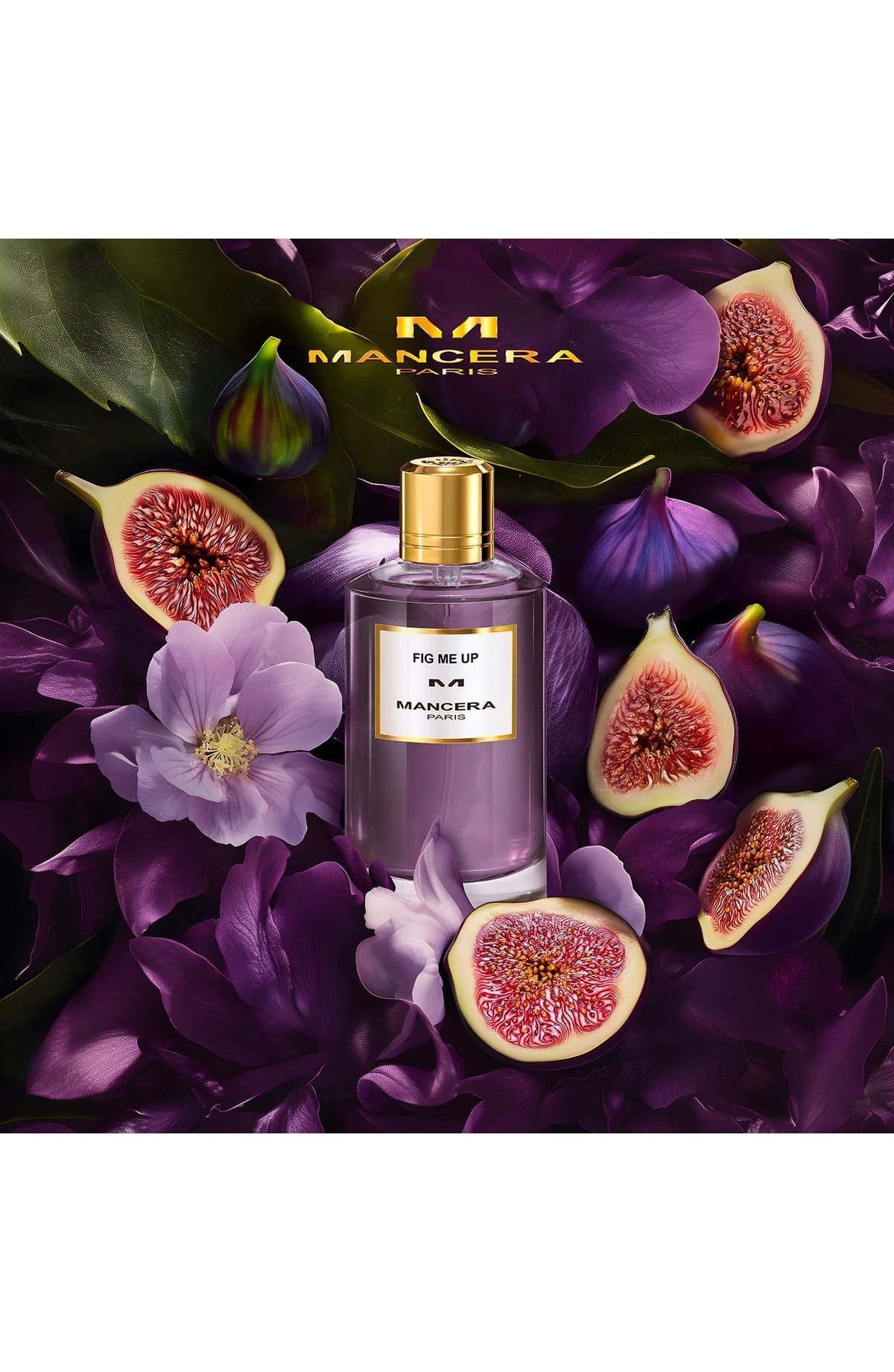 Mancera 2024-Fig Me Up-Eau de Parfum-120ml – Image 2