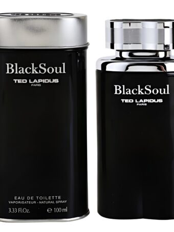 Ted Lapidus-Black Soul-Eau de Toilette-100ml